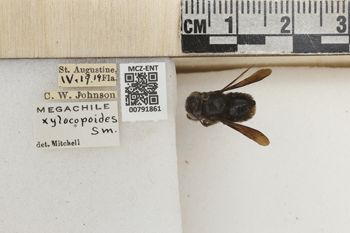 Media type: image;   Entomology 791861 Aspect: Labels